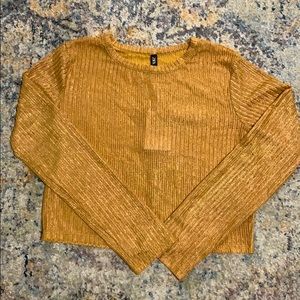 🔥SALE🔥🔥 Zara Shimmer Crop Top